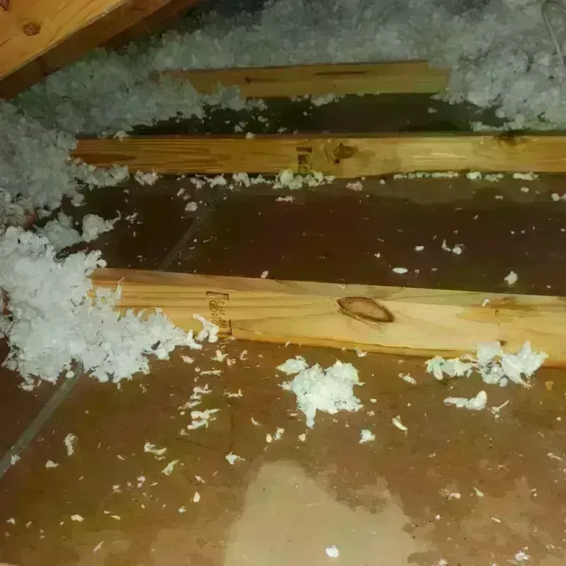 Attic Water Damage in Forest City, PA