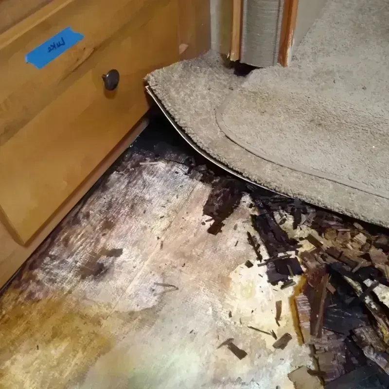 Wood Floor Water Damage in Forest City, PA